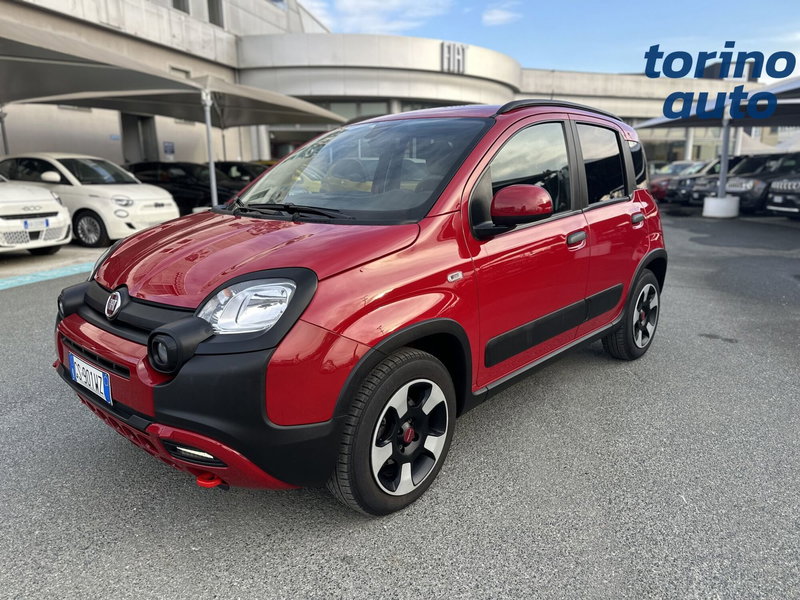 Fiat Panda Cross usata a Torino (3)