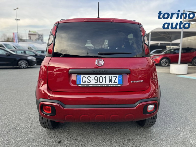 Fiat Panda Cross usata a Torino (6)