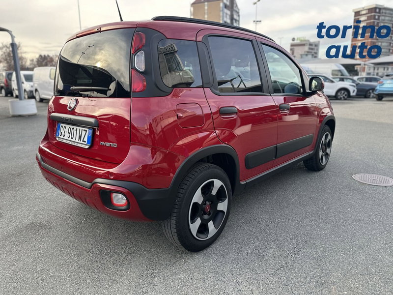 Fiat Panda Cross usata a Torino (7)