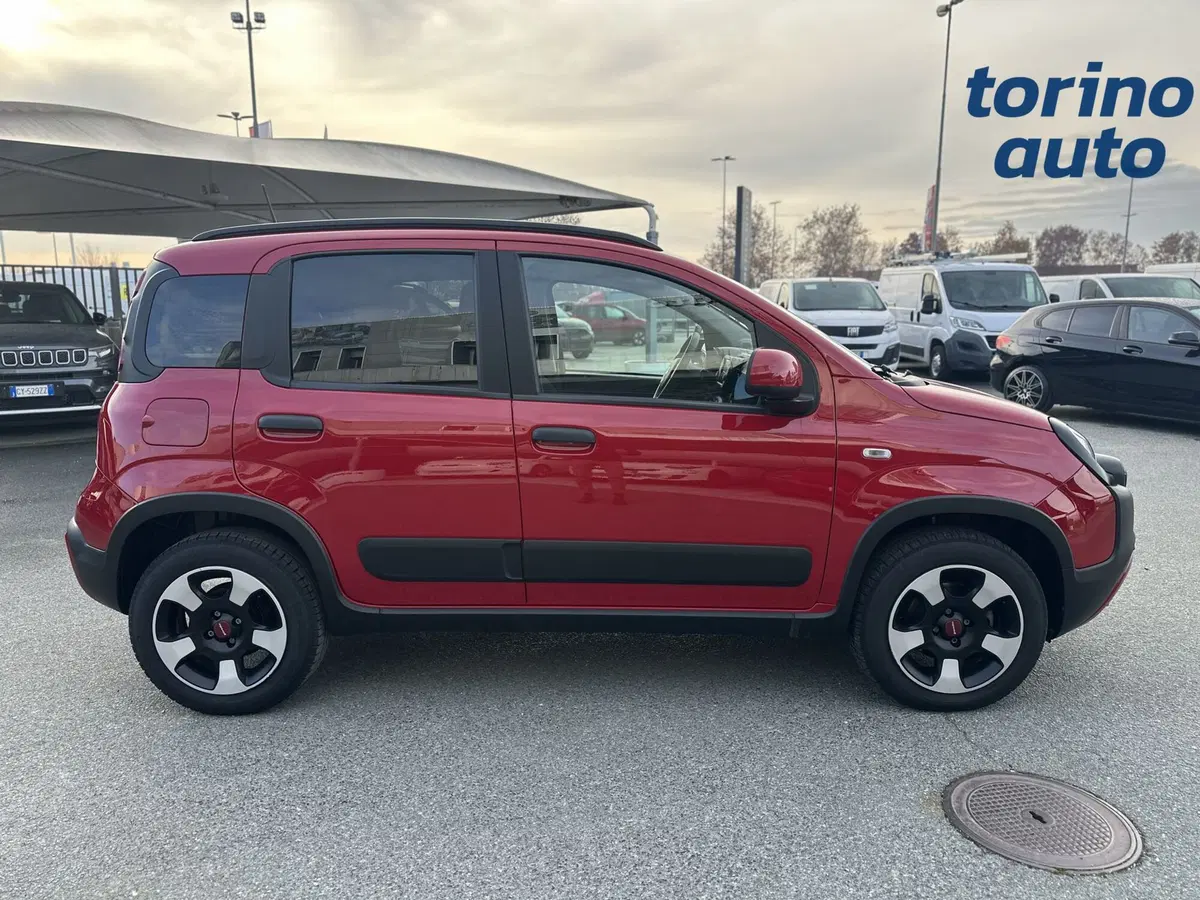 Fiat Panda Cross usata a Torino (8)