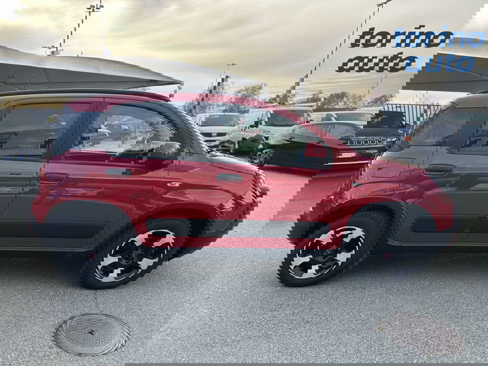 Fiat Panda Cross usata a Torino (8)