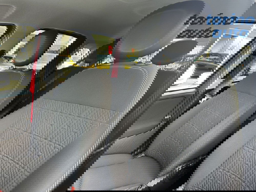 Fiat Panda Cross usata a Torino (9)