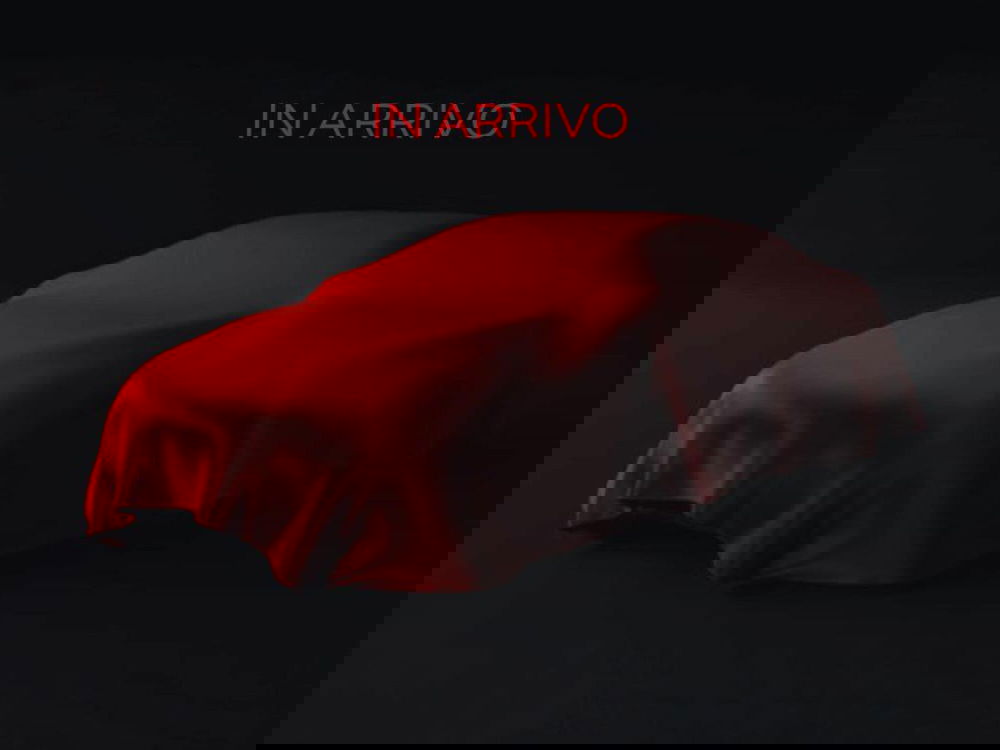 Fiat Pandina usata a Roma