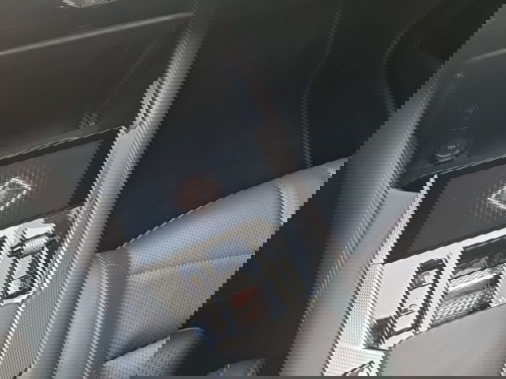 Ds DS 4 usata a Monza e Brianza (16)