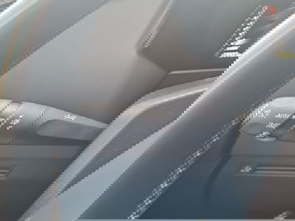 Ds DS 4 usata a Monza e Brianza (18)