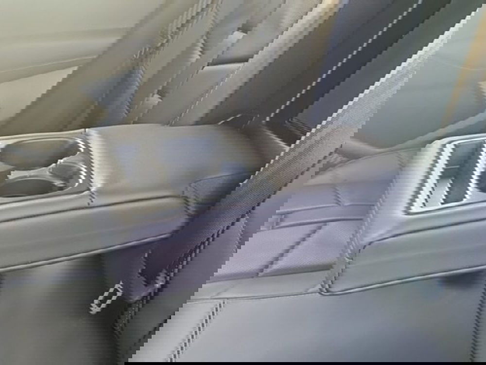 Ds DS 4 usata a Monza e Brianza (20)