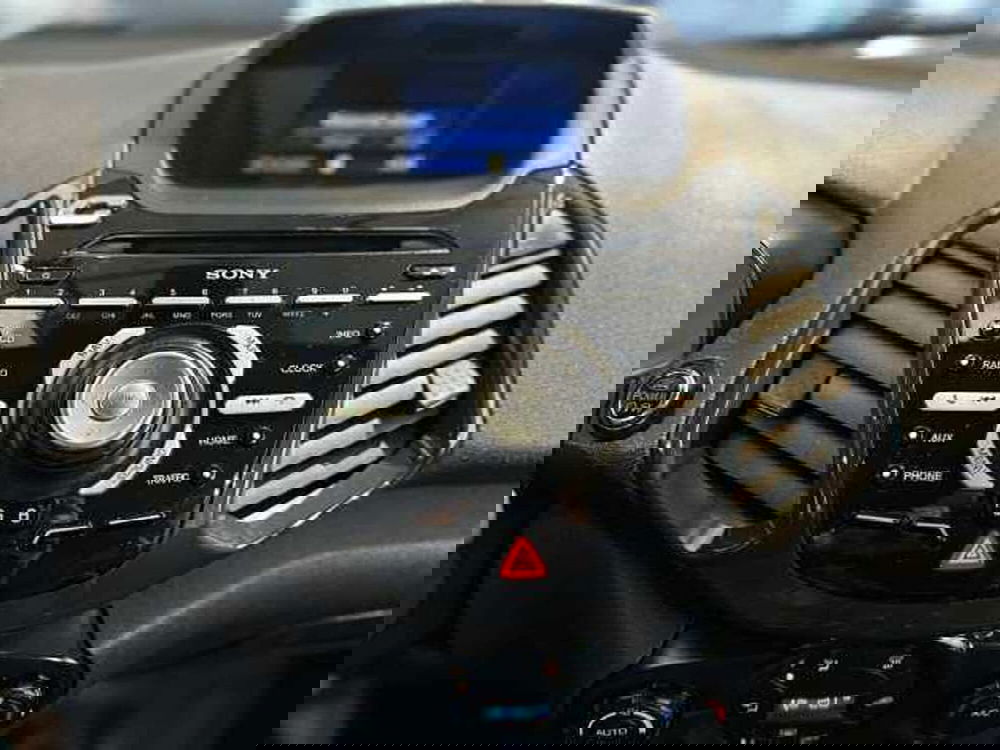 Ford EcoSport usata a Venezia (14)