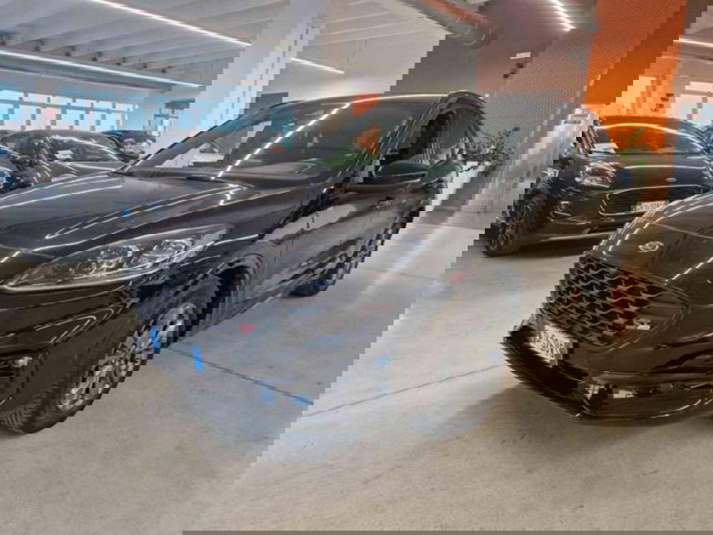 Ford Kuga usata a Bologna