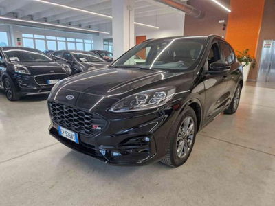 Ford Kuga 2.0 EcoBlue 120 CV aut. 2WD ST-Line X del 2023 usata a Imola