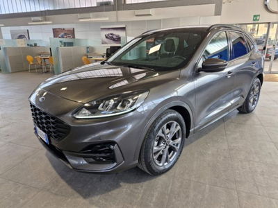 Ford Kuga 1.5 EcoBoost 150 CV 2WD ST-Line del 2023 usata a Imola