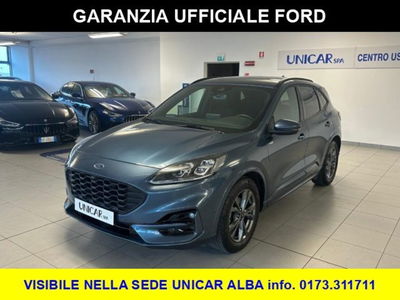 Ford Kuga 2.0 EcoBlue 120 CV aut. 2WD ST-Line X del 2023 usata a Alba