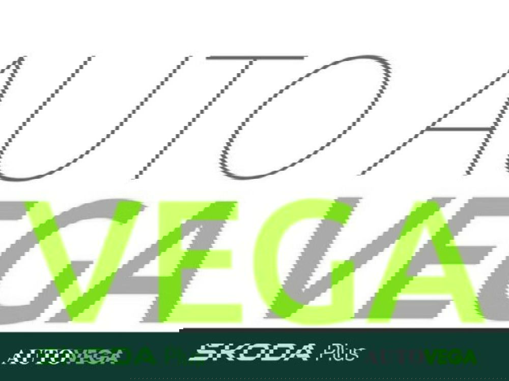 Skoda Kamiq usata a Vicenza