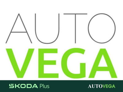 Skoda Kamiq 1.0 tsi Black Dots 95cv del 2024 usata a Arzignano
