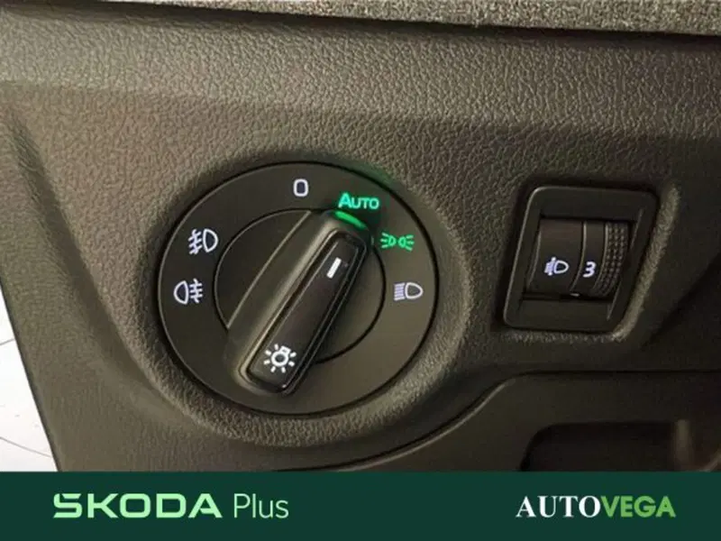 Skoda Kamiq usata a Vicenza (15)