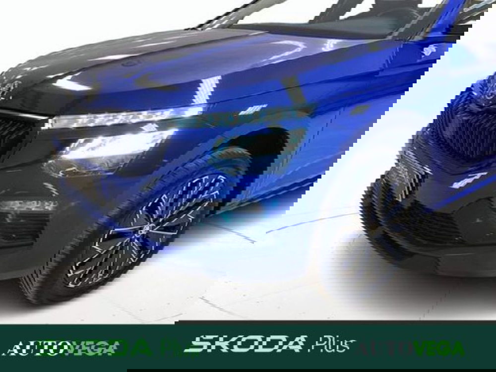 Skoda Kamiq usata a Vicenza (19)