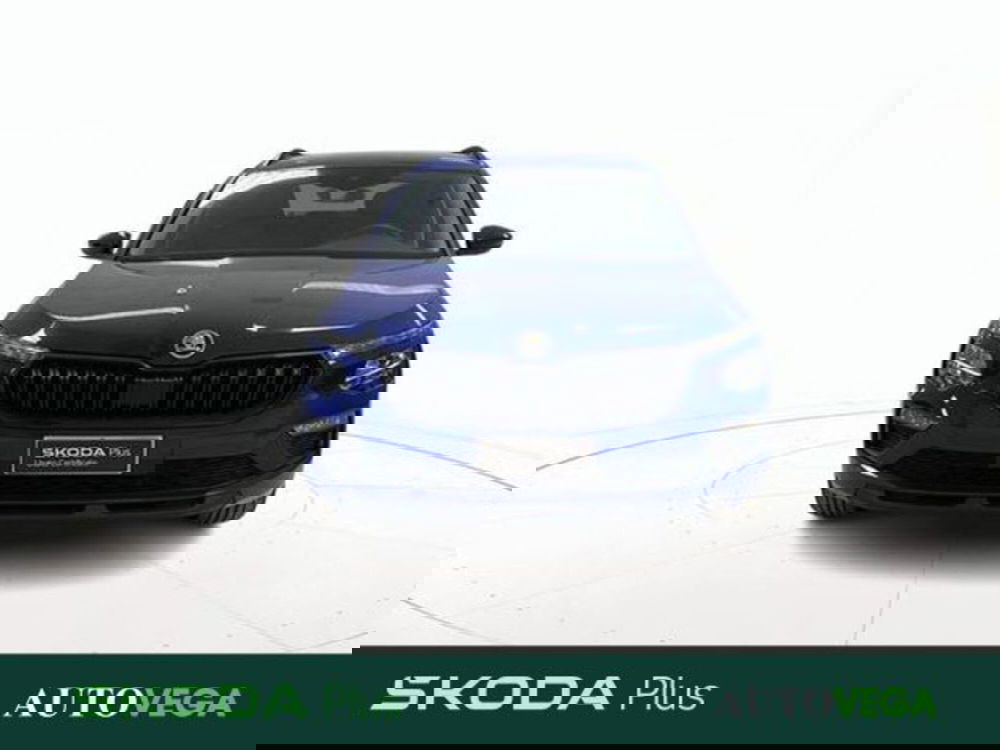 Skoda Kamiq usata a Vicenza (2)