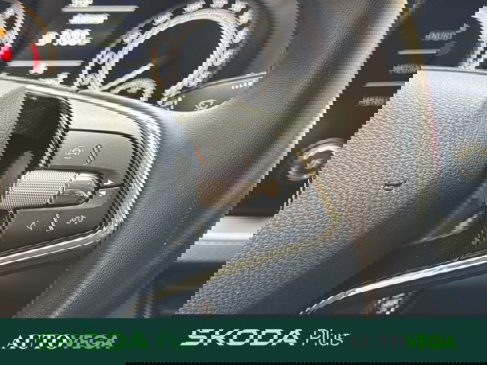 Skoda Kamiq usata a Vicenza (20)