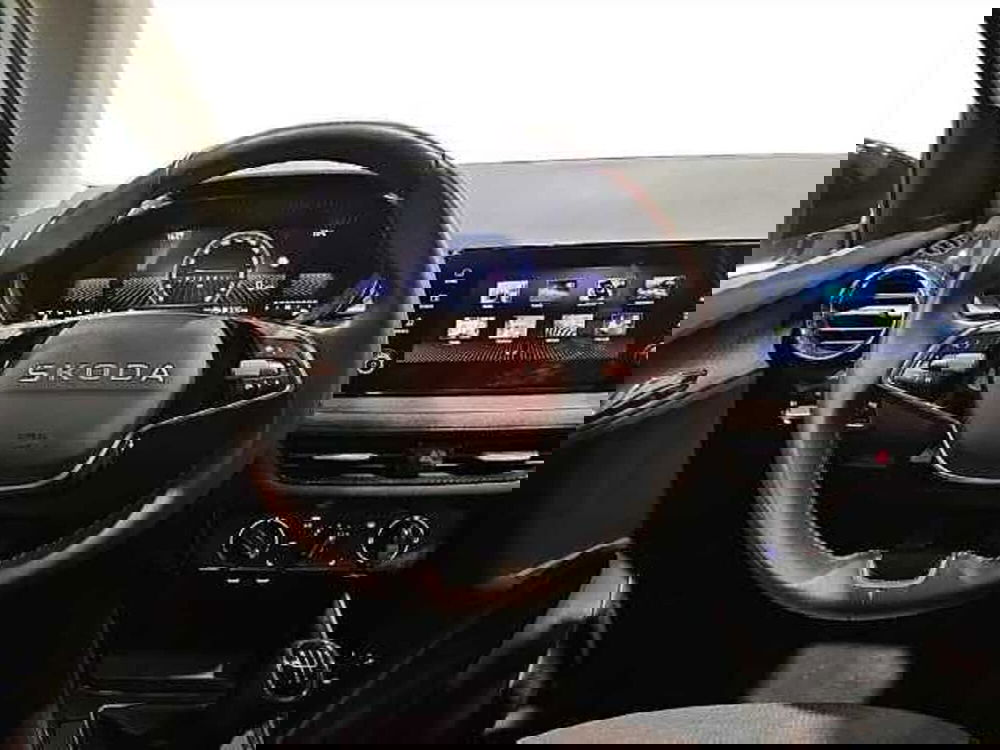 Skoda Fabia usata a Lecco (12)