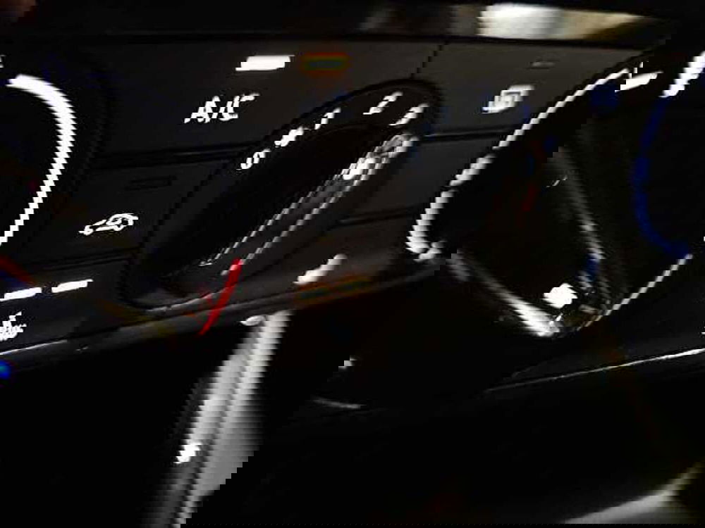 Skoda Fabia usata a Lecco (16)