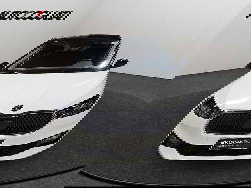 Skoda Fabia usata a Lecco (2)