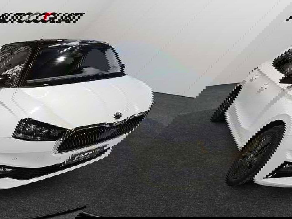 Skoda Fabia usata a Lecco (3)