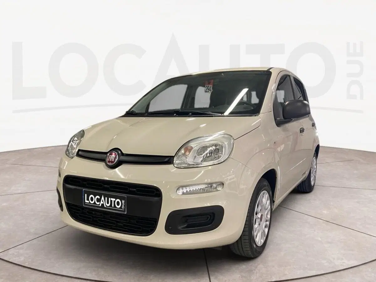 Fiat Panda usata a Torino