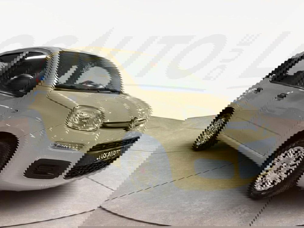 Fiat Panda usata a Torino (2)