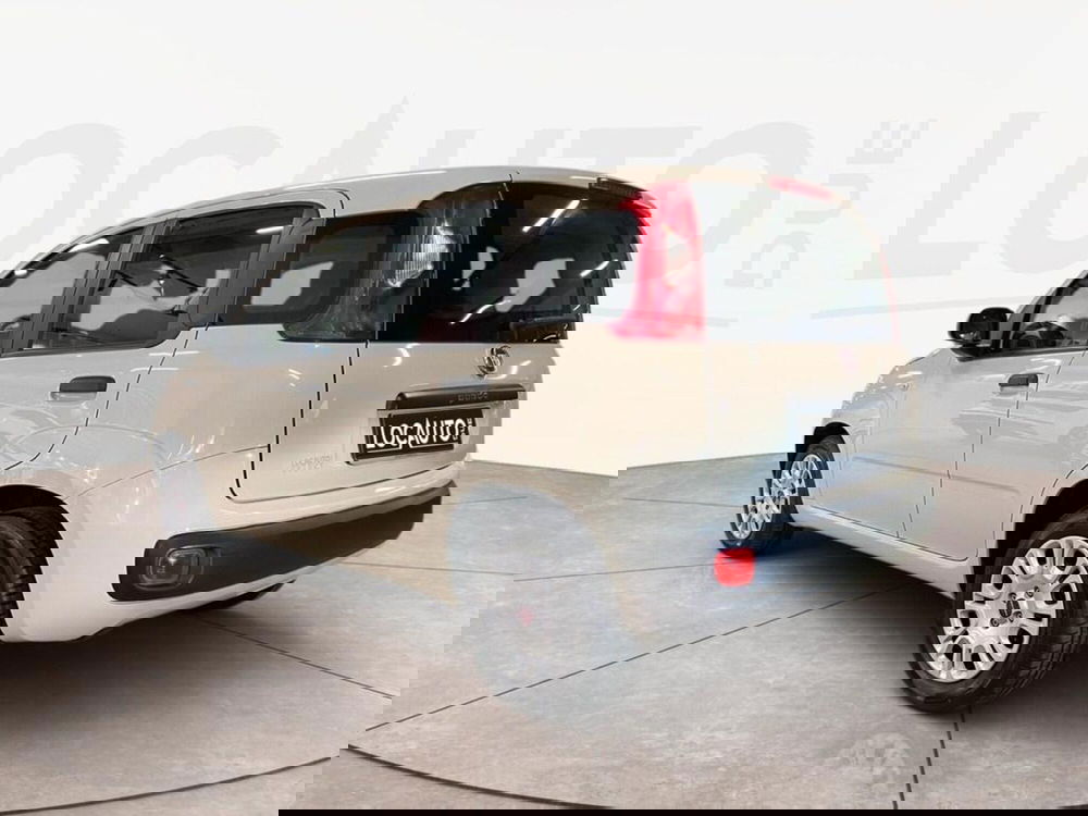 Fiat Panda usata a Torino (4)