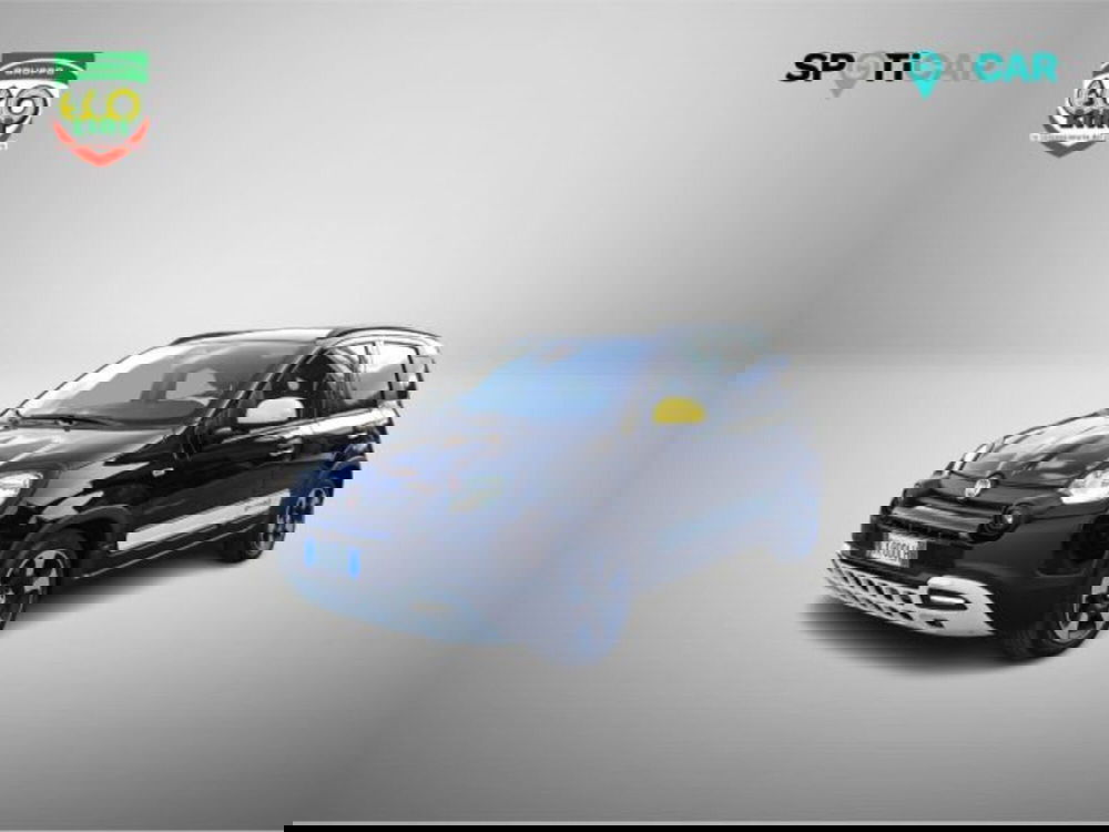 Fiat Panda usata a Frosinone