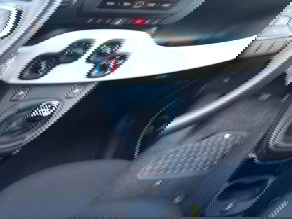 Fiat Panda usata a Frosinone (13)