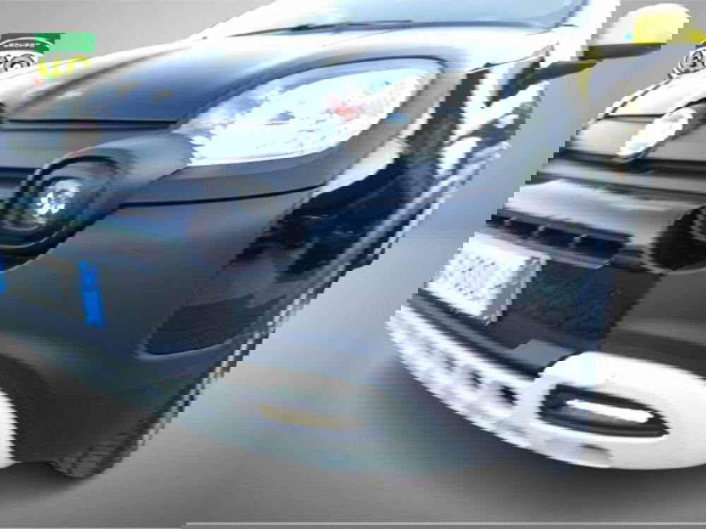 Fiat Panda usata a Frosinone (16)