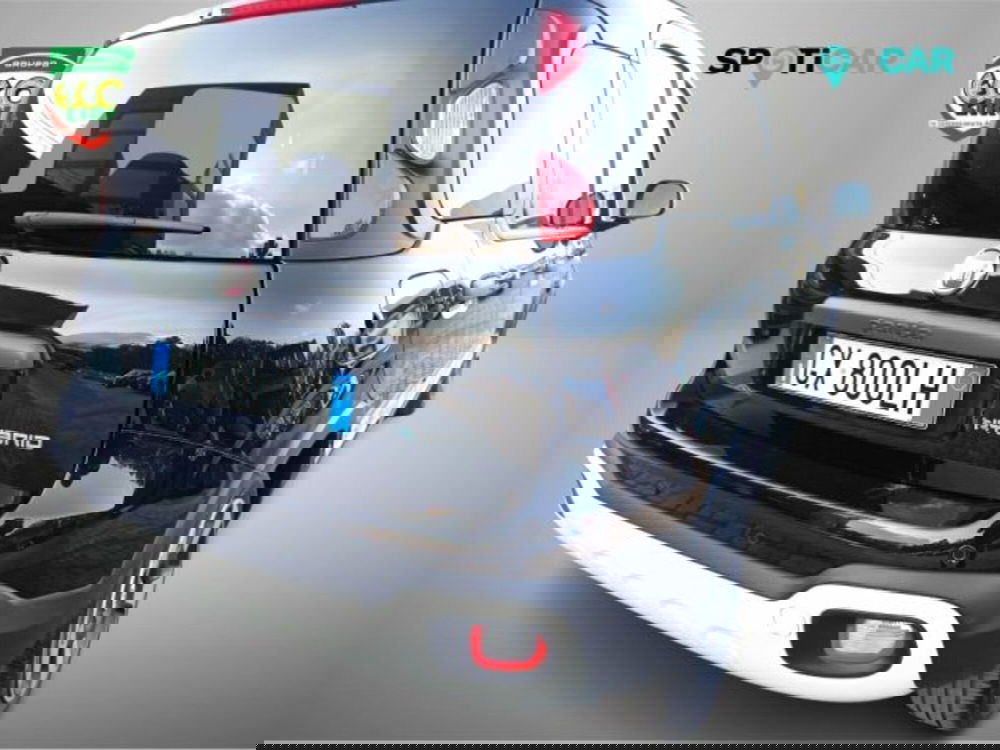 Fiat Panda usata a Frosinone (17)