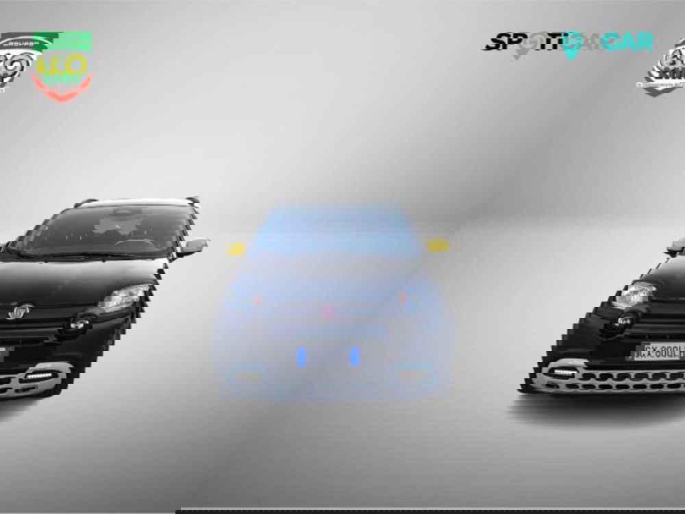 Fiat Panda usata a Frosinone (2)