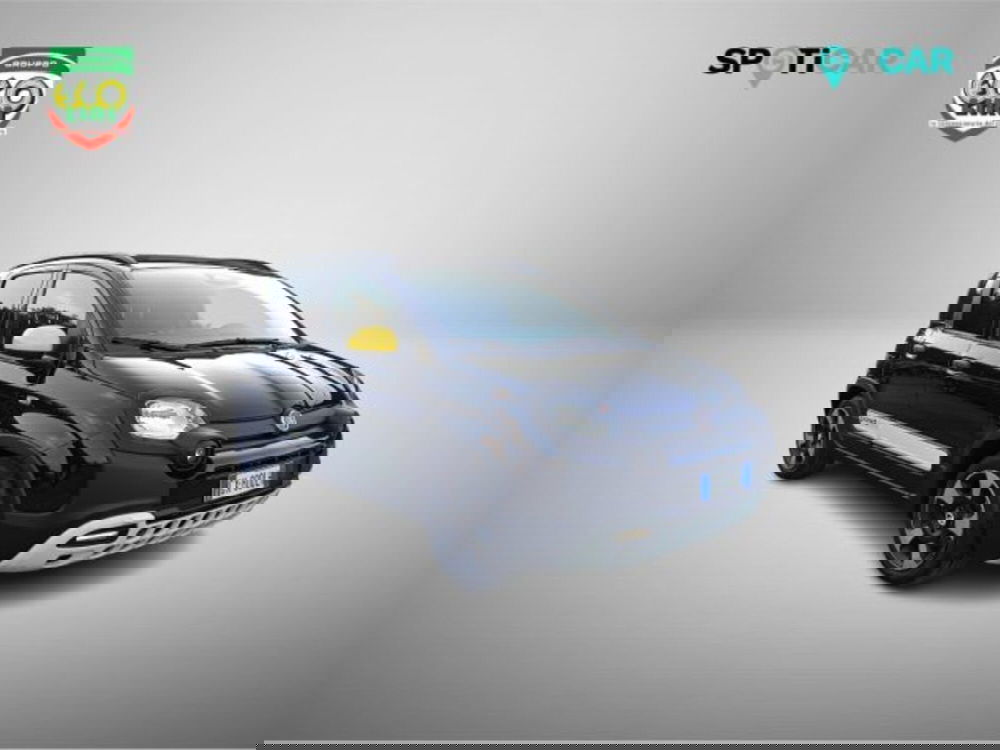 Fiat Panda usata a Frosinone (3)