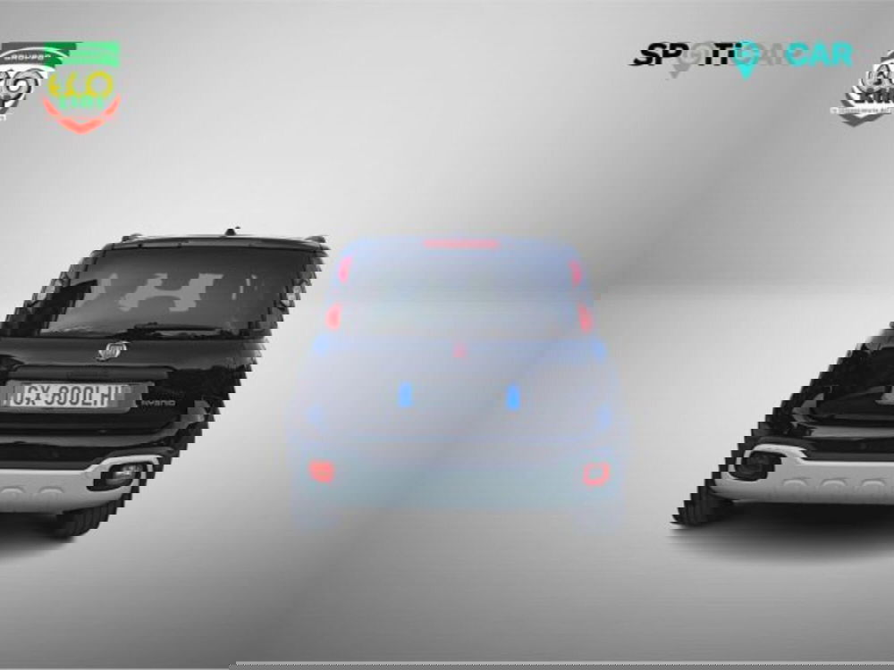 Fiat Panda usata a Frosinone (5)