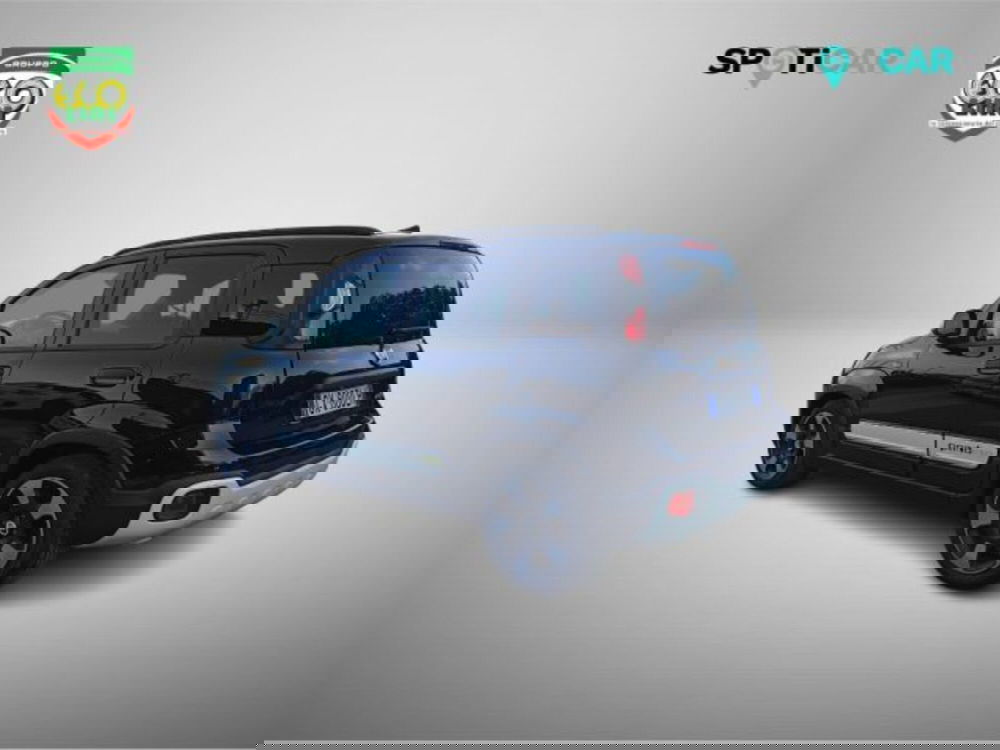 Fiat Panda usata a Frosinone (6)