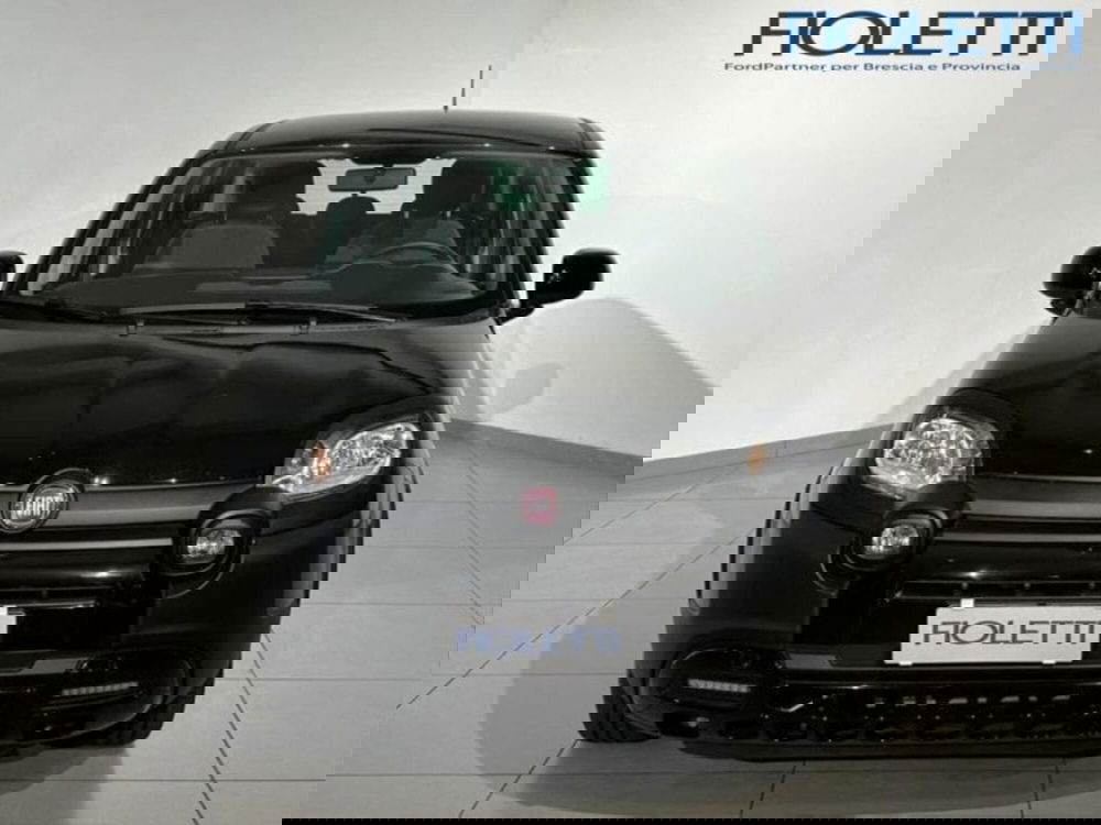 Fiat Panda Cross usata a Brescia (3)