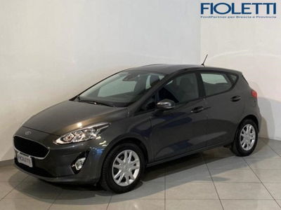 Ford Fiesta 1.0 Ecoboost 95 CV 5 porte Business del 2020 usata a Manerbio