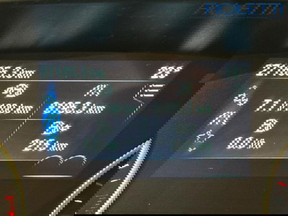 Ford EcoSport usata a Brescia (7)