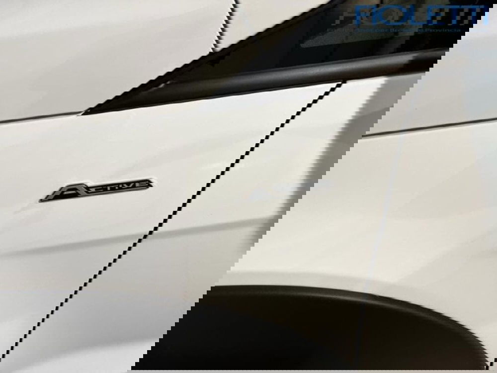 Ford EcoSport usata a Brescia (10)
