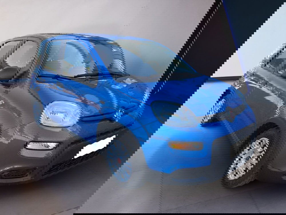 Fiat Panda usata a Torino (3)