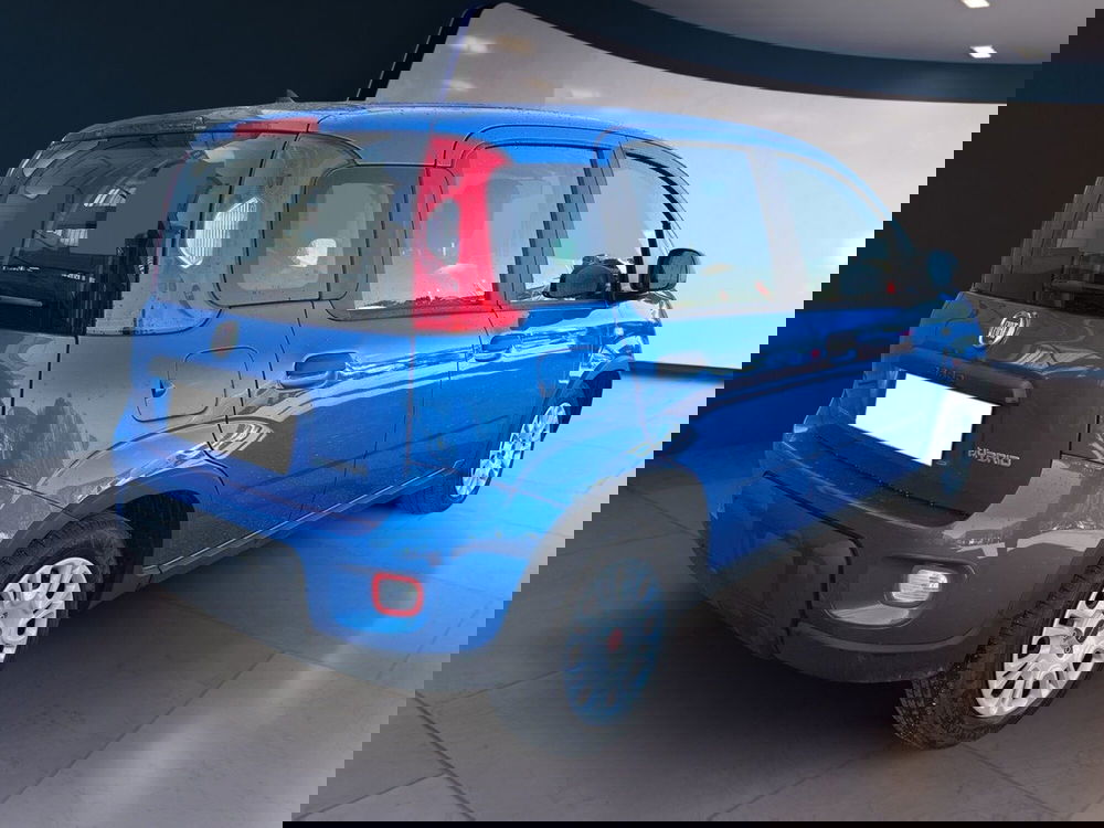 Fiat Panda usata a Torino (4)