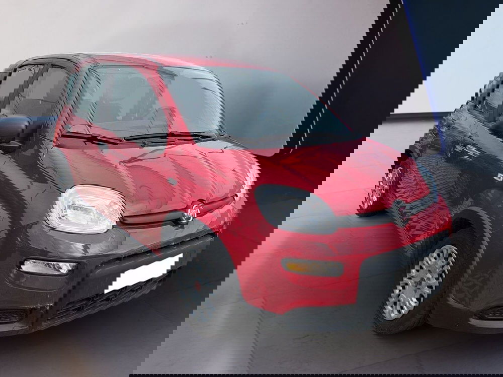 Fiat Panda usata a Torino (3)