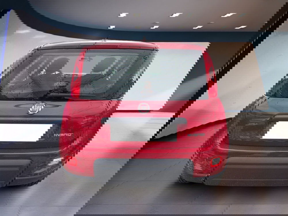 Fiat Panda usata a Torino (6)