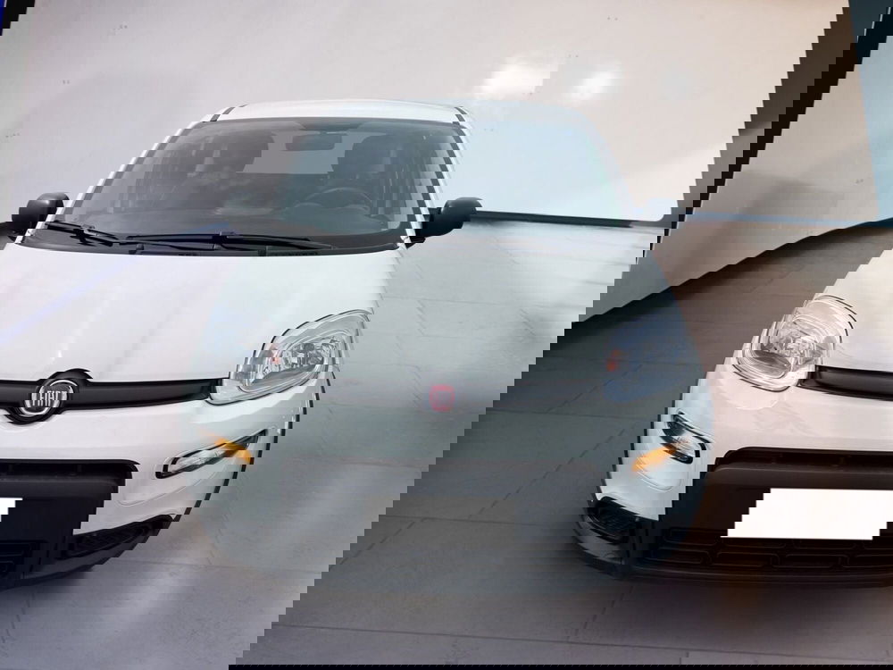 Fiat Panda usata a Torino