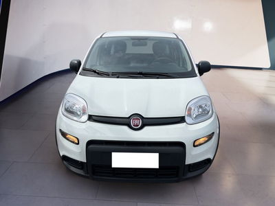 Fiat Panda 1.0 firefly hybrid s&amp;s 70cv del 2024 usata a Torino