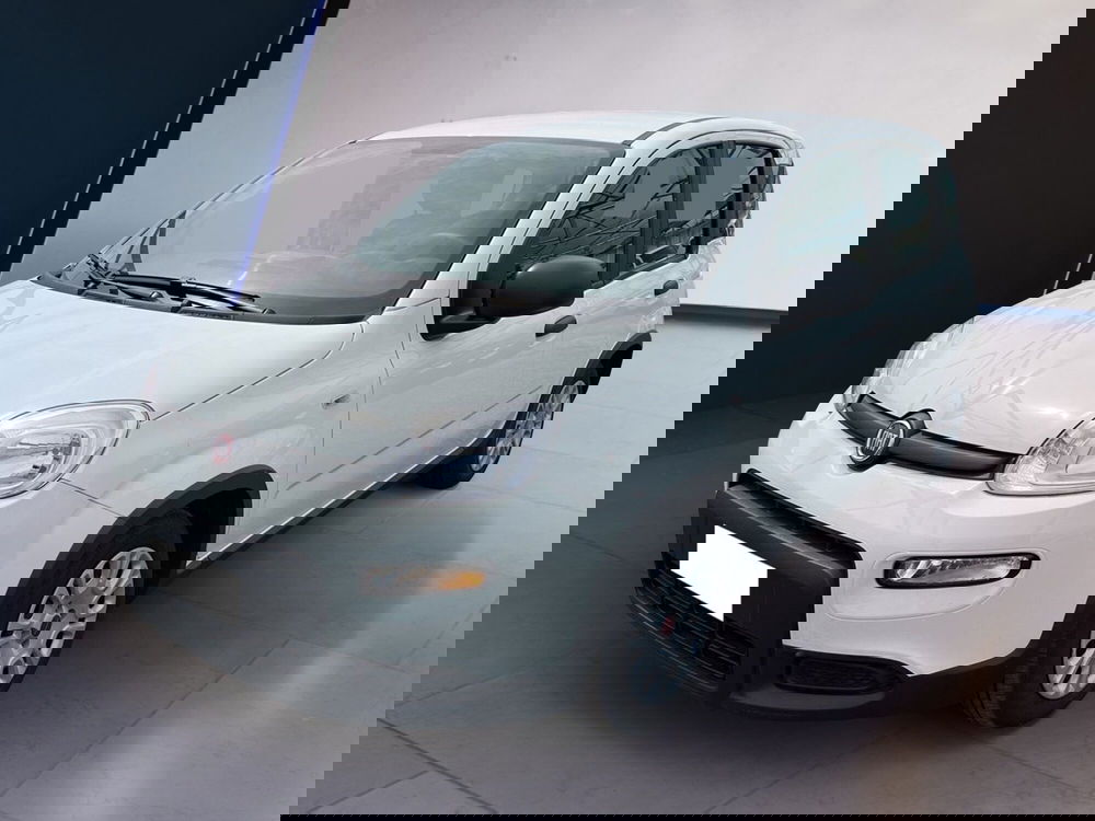 Fiat Panda usata a Torino (2)