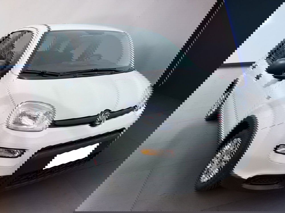 Fiat Panda usata a Torino (3)