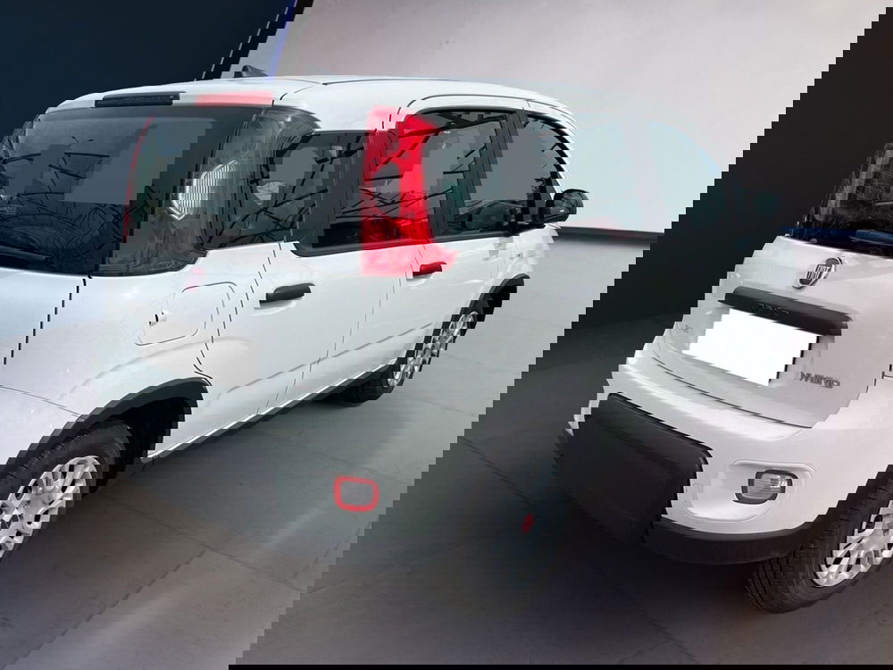 Fiat Panda usata a Torino (4)