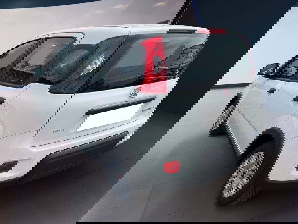 Fiat Panda usata a Torino (5)